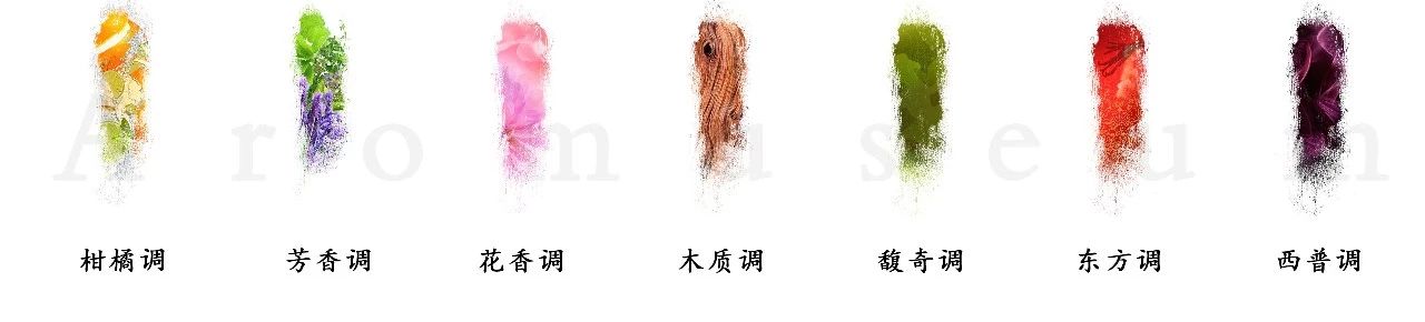 為什么有人一身果香，有人卻一身藿香？