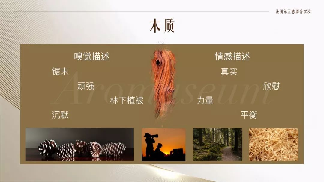 為什么有人一身果香，有人卻一身藿香？