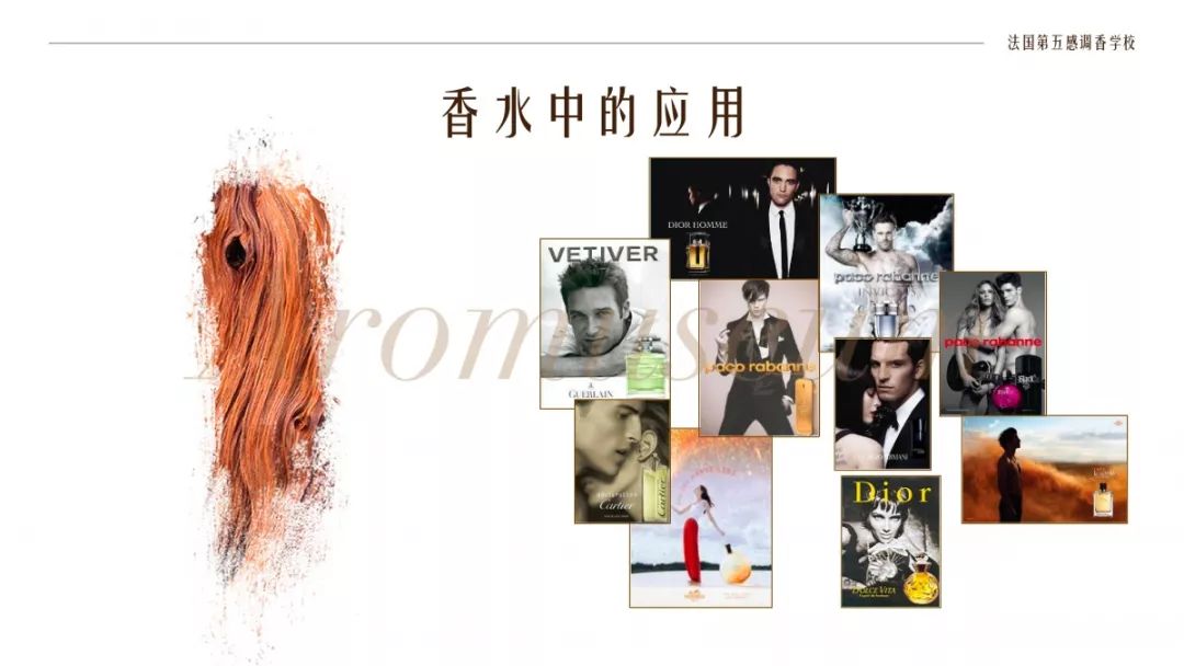 為什么有人一身果香，有人卻一身藿香？