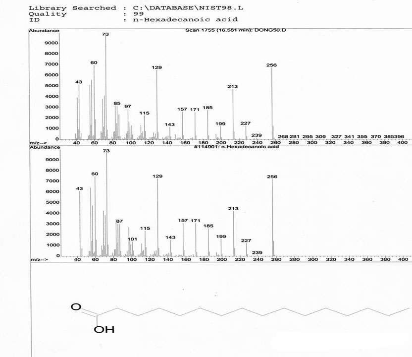 氣相色譜-質(zhì)譜定性分析 氣相色譜-質(zhì)譜定性分析