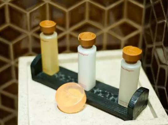 那些高級(jí)酒店的高端洗護(hù)用品 那些高級(jí)酒店的高端洗護(hù)用品