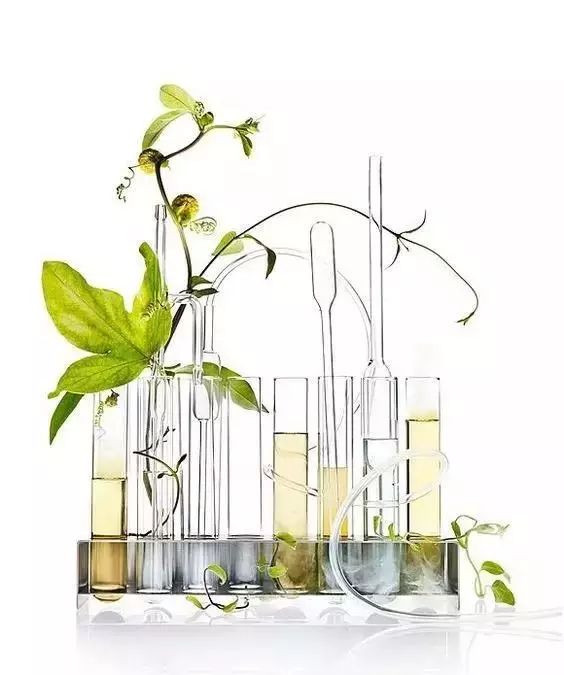 DeepSeek AI 賦能日化香精研發(fā)：算法驅(qū)動下一代個性化香氛設(shè)計