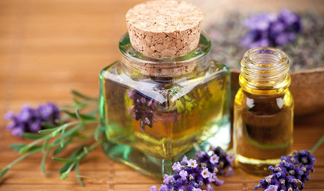 什么是芳香植物？